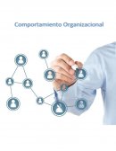 El comportamiento de una organización se debe analizar en 3 niveles