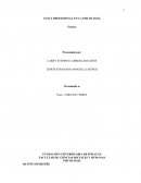 ENSAYO CODIGO DEONTOLOGICO Y BIOETICO