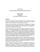 Norma Internacional de Auditoria 500 Evidencia de Auditoria