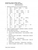 Sales minerales PRÁCTICA DE AULA 4