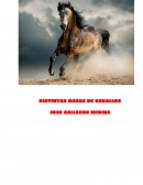 Un nuevo Resumen gritos de muerte y libertad