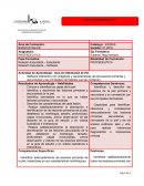 Software Interactivo con imágenes y características de las lesiones primarias y secundarias y las principales dermatosis que las contienen.