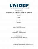 PROYECTO FINAL DIAGNOSTICO DE LA SITUACIÓN ACTUAL DE LA EMPRESA