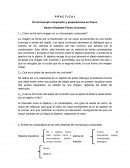Como es la Práctica microbiología cucba