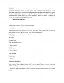 Quimica- experimento
