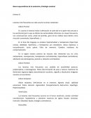 Bases esquemáticas de la anatomía y fisiología cerebral