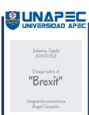 ENSAYO SOBRE BREXIT