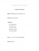 Metodología de la Investigación Social Trabajo de Investigacion