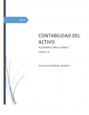 Contabilidad del activo. Fundamentos de presentación y revelación NIF A-7