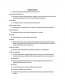 ¿Que otro sistema operativo aparte de Windows existe?