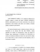 INTERPONIENDO RECURSO DE APELACIÓN.