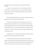 Como se mantiene la temperatura de tu cuerpo