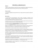 Rinitis felina y su diagnóstico por Rx