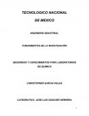SEGURIDAD Y CONOCIMIENTOS PARA LABORATORIOS DE QUIMICA