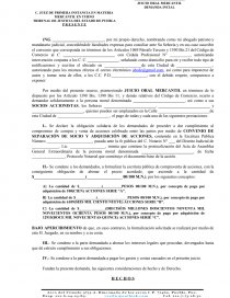 FORMATO DE DEMANDA JUICIO ORAL MERCANTIL - Prácticas o problemas - Juan  Carlos Castillero del Saz Uribe