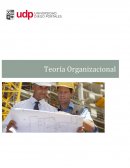 Informe teoria Sabado