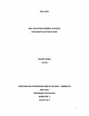 IMPORTANCIA DE LA RELACIÓN ENTRE LA BIOLOGÍA Y LA PSICOLOGÍA