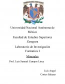 Laboratorio de Investigación Formativa