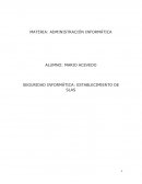 SEGURIDAD INFORMÁTICA: ESTABLECIMIENTO DE SLAS