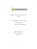 Paradigmas, orientaciones y corrientes de la sociología