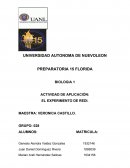 Actividad de aplicación: El experimento de Redi