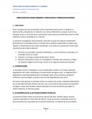 PROTECCIÓN DEL MEDIO AMBIENTE “EXPLOTACION Y PRODUCCION MINERA”