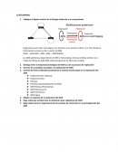 Biologia Molecular CUESTIONARIO