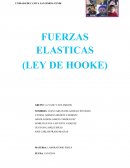 Fuerzas ekasticas observaciones