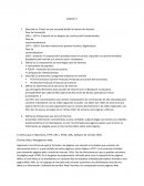 Describa las 3 fases en que se puede dividir la historia de Internet