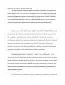 Supervisión de contratos: Mirando desde lo alto