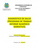 DIAGNOSTICO DE SALUD (PROGRAMA DE TRABAJO INFORME NUMÉRICO NARRATIVO)