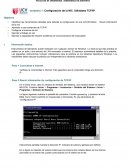 Práctica de laboratorio 1: Configuración de la NIC. Utilidades TCP/IP