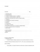 La justicia ordinaria y justicia comunitaria