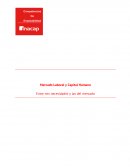 Mercado Laboral y Capital Humano Entre mis necesidades y las del mercado