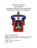 Desarrollo de la Tecnología en las organizaciones