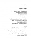 ANÁLISIS Experiencias del Taller