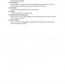 Los tipos de meteorología