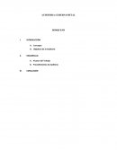 AUDITORIA GUBERNAMETAL