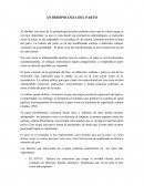 Antropologia del parto