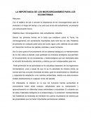 LA IMPORTANCIA DE LOS MICROORGANISMOS PARA LOS ECOSISTEMAS