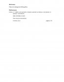 Ejemplos de citas cortas y largas en formato APA