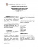 INFORME DE LABORATORIO PRÁCTICA N.6