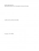 Una Reseña Bibliográfica Dimensiones Basicas de un Desarrollo Humano Integral