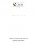 ¿Cuáles cree que son los motivos por los cuales se deba interponer estos recursos?