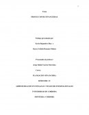 Administracion en finanzas y negocios internacionales