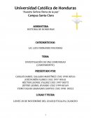 INVESTIGACIÓN DE UNA COMUNIDAD (CAMPAMENTO)