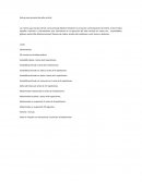 Rutina para aumento de salto vertical