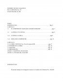 INFORME TECNICO ANALITICO DE LA SINFONIA Nro. 28 EN DO MAYOR KV 200