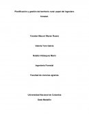 Planificación y gestión del territorio rural: papel del ingeniero forestal