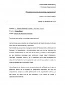 Psicología Organizacional “Principales funciones del psicólogo organizacional”